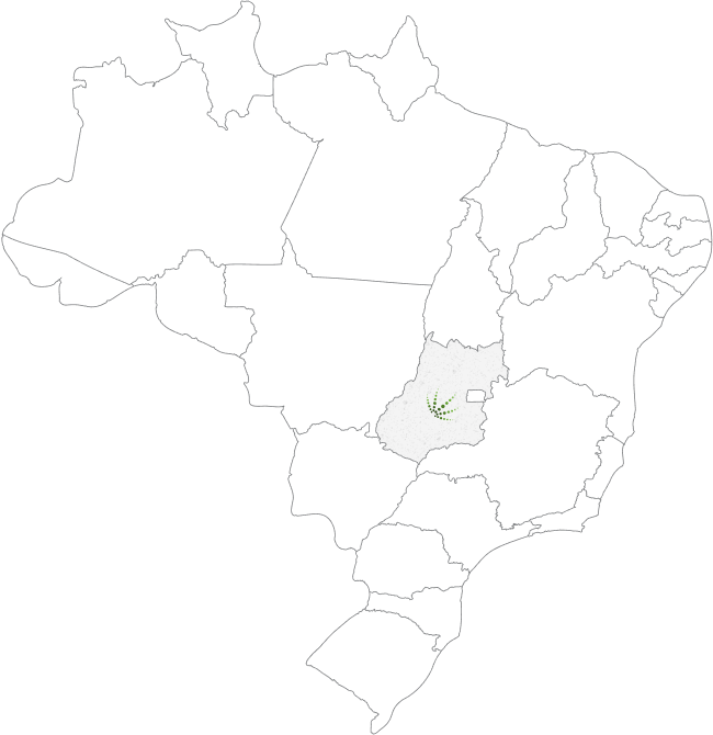 Onde estamos - Cerrado Consultoria Agronômica