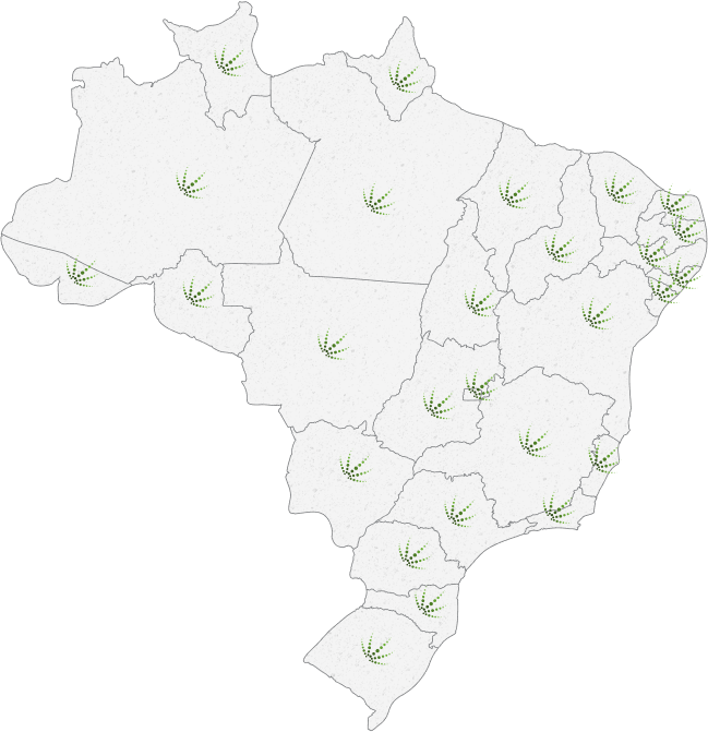 Onde nossos clientes estão - Cerrado Consultoria Agronômica